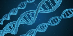 ADN, génétique, biotech, intelligence artificielle, médecine, futur,