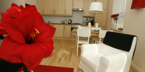 appartement meublé