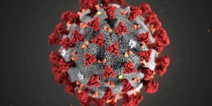 Coronavirus: un premier cas de transmission humaine signale aux usa