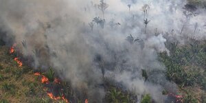 Des incendies de foret en amazonie, au bresil