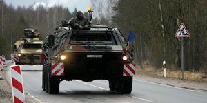 Forces OTAN, Allemagne, Lithuanie
