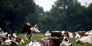 L'union europeenne va tenter une nouvelle fois un compromis sur l'agriculture