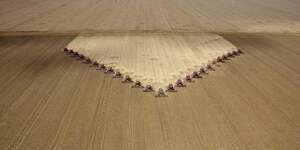 Moisson, harvest, Mato Grosso, Brasil, soy, soja,