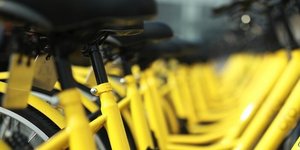 ofo