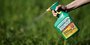 Roundup: monsanto lourdement condamne aux etats-unis