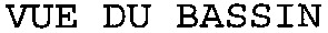 VUE DU BASSIN_logo