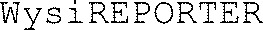 WysiREPORTER_logo