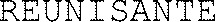 REUNISANTE_logo