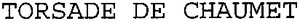 TORSADE DE CHAUMET_logo