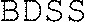 BDSS_logo