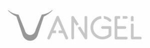 ANGEL_logo