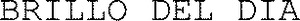 BRILLO DEL DIA_logo