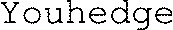 Youhedge_logo