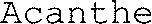 Acanthe_logo