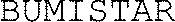 BUMISTAR_logo