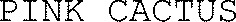 PINK CACTUS_logo