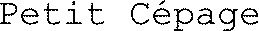 Petit Cépage_logo