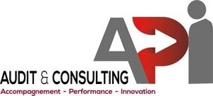 API AUDIT et CONSULTING Accompagnement - Performance - Innovation_logo