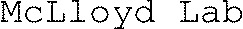 McLloyd Lab_logo