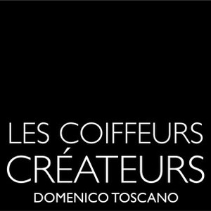 LES COIFFEURS CREATEURS DOMENICO TOSCANO_logo