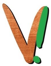 V!_logo