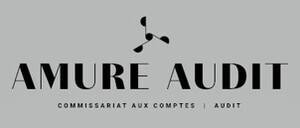 AMURE AUDIT COMMISSARIAT AUX COMPTES AUDIT_logo
