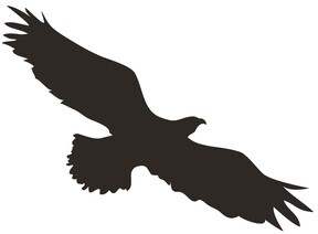 _logo