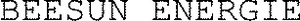 BEESUN ENERGIE_logo