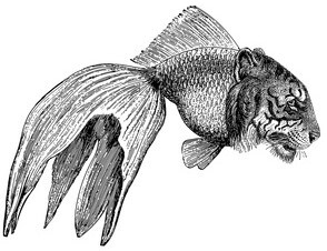 _logo