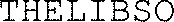 THELIBSO_logo