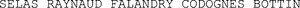 SELAS RAYNAUD FALANDRY CODOGNES BOTTIN_logo