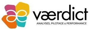 ae vaerdict ANALYSES PILOTAGE & PERFORMANCE_logo