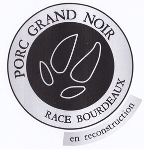 PORC GRAND NOIR RACE BOURDEAUX en reconstruction_logo