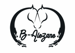B-Alezane_logo