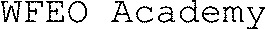 WFEO Academy_logo