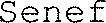 Senef_logo