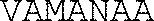 VAMANAA_logo