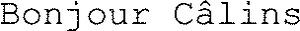 Bonjour Câlins_logo
