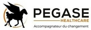 PEGASE HEALTHCARE Accompagnateur du changement_logo