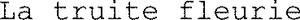 FMARK0000000004938445