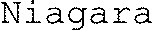 Niagara_logo