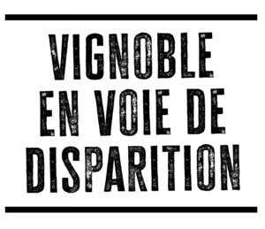 VIGNOBLE EN VOIE DE DISPARITION_logo