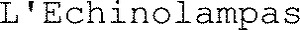 L'Echinolampas_logo