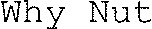 Why Nut_logo