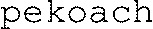 FMARK0000000005048256