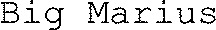 Big Marius_logo