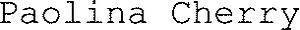 FMARK0000000005104557
