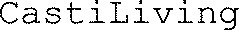  CastiLiving_logo