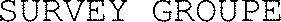 SURVEY GROUPE_logo