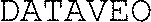 DATAVEO_logo